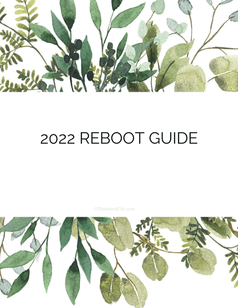 Reboot guide 2022 Cover