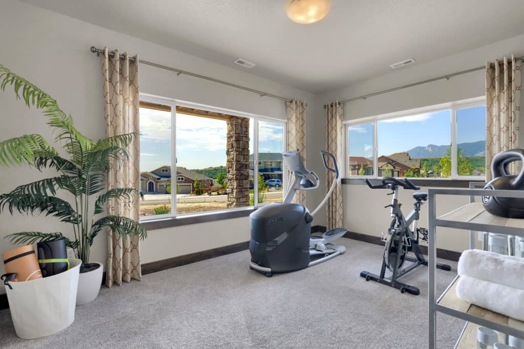 a photo of a home gym