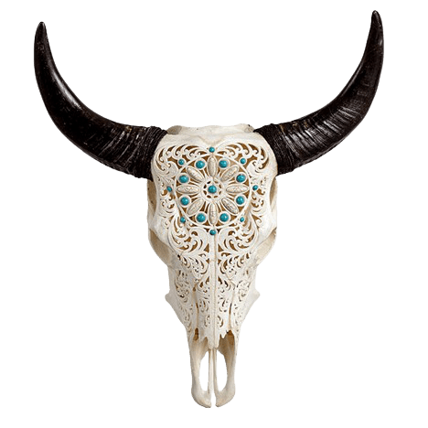 image of a decorative cow skull